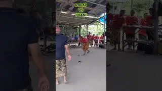 Traditional Game of Top Spinner Sasak Lombok Indonesia #usa #shorts #abroad #america