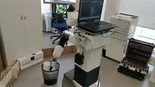 Autonomous garbage collection by service robot