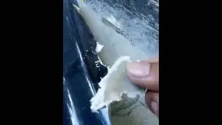 Duraflex vs abs vs fiber