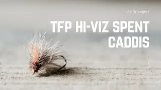 Fly Tying - Hi Viz Spent Caddis - The Fly Project