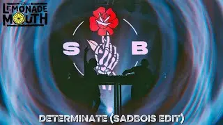Determinate (SadBois Edit) [Lyric Video]