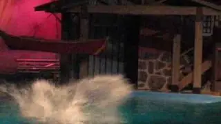 MUST SEE water show in INDIANAPOLIS ZOO
