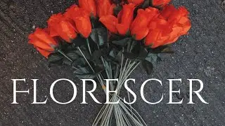 Florescer ⚘️