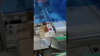 Automatic Long Screw Parallelling Packing System