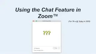 Zoom Chat Feature TA Tutorial