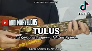 Tak Genggam Tanganmu Tak Elus Pipimu - ( TULUS ) Cover Ukulele By Andi Marvelous
