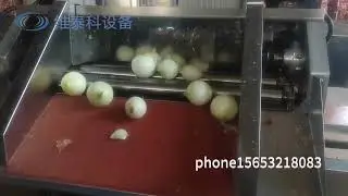 Onion Automatic Peeling Machine