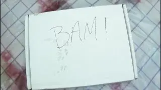 BAM BOX HORROR March 2019: EmGo's Reviews N' Stuff