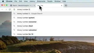 Optional bin and complex🕵🏼 Learn Python Intermediate 21.6