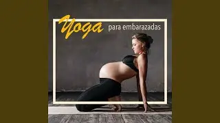 Yoga F&aacute;cil