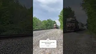 Impressive Hornshow from NS 8036 on NS 29P