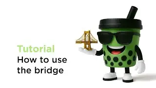 Tutorial - How to use the bridge