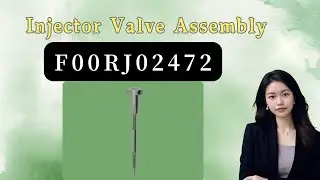 #F00RJ02472 Valve Assembly 0445120 Series CRIN2-16 | For #0445120182 Injector | China Made New
