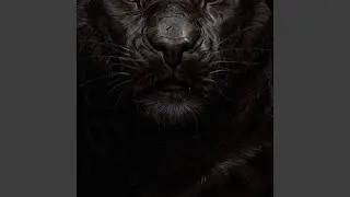 Black Panther 2