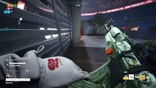 The FINALS