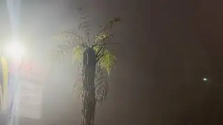 Lonely Rain Under the Streetlight 🌧️ | Night Ambience for Sleep & Calm
