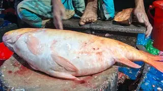 Shapla Pata Fish Cutting & Cleaning | Full Process Long Video