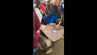 55KG Giant Shankar Fish Cutting 😱 | Bisal Shyamla Pata Mach | Extreme Fish Cutting Video 