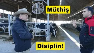 BAŞARILI ÇİFTLİĞİ YÖNETMENİN SIRLARI (Çiftlik Müdürü Anlatıyor)