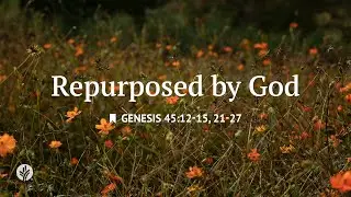Repurposed by God | Audio Reading | Our Daily Bread Devotional | October 30, 2025
