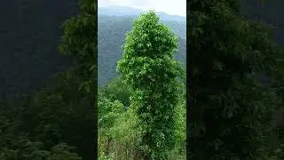 Hetauda City #Hetauda #nepal#vlogger