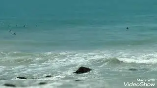 surf no port&atilde;o 🏄&zwj;♀️.