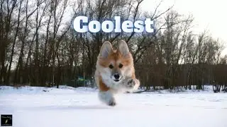 winter status | cool cooler coolest | things happen during winters | beautiful winter status | thand