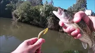 Montagens Finesse que Apanham Sempre Peixe