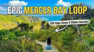 Is This New Zealand's Best Hidden Gem? 🇳🇿 Mercer Bay Loop Track