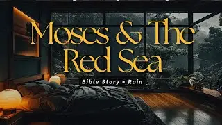 Moses And The Red Sea | Bible Bedtime Story for Sleep & Peace  |  Cozy Rainy Room Ambience🌧️