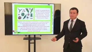 Mavzu: Sodda bir hujayrali xayvonlar tipi
