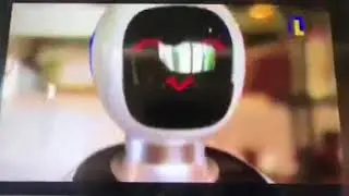 Waiter robot-Amy used in Netherlands restaurant