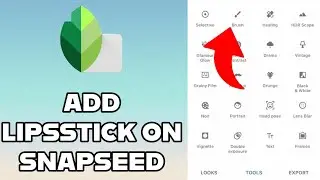 How to Add Lipstick on SnapSeed 2024?