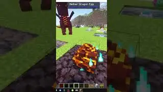HOW TO GET THE NETHER DRAGON IN DRAGON MOUNTS LEGACY