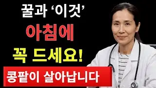 매일 꿀 한 숟가락, 콩팥 노화 늦춘다? 서울대 연구 결과 | 시니어정보