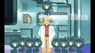 Pok&eacute;mon Journeys एपिसोड #81 - Murkrow attacks Professor Oak -        Pok&eacute;mon Asia Official (Hindi)