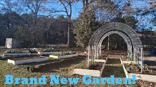 New Garden on a Budget