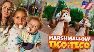 FOGUEIRA E ACAMPAMENTO COM TICO E TECO NA DISNEY - FAMÍLIA BELLA E LUCCA SHOW
