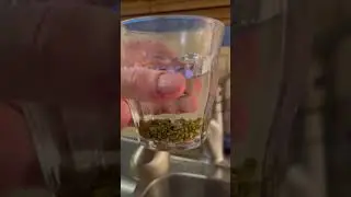 I show you how to clean the gizzard to get the stones for from your wild Turkey to display!