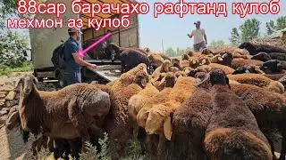 88сар дастафка кардем  Ш.Кулоб