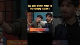 When Contestants Meet AAA were wolves in playground season 3 || wild Cards Entry || #shorts