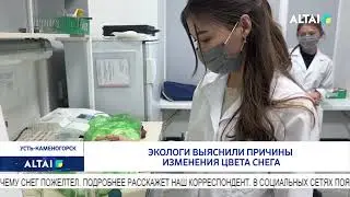 Экологи выяснили причины изменения цвета снега