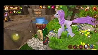 Pony world craft