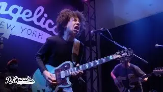 Brandon 'Taz' Niederauer Rips a Solo on His New Signature Model  | NAMM 2019 | D'Angelico Guitars