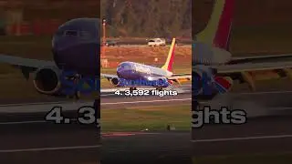 Top 5 Airlines By Daily Flights