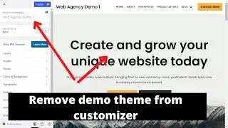 How To Remove 'Web Agency Demo 1' Template In Neve Theme | Remove Demo Template from Customizer