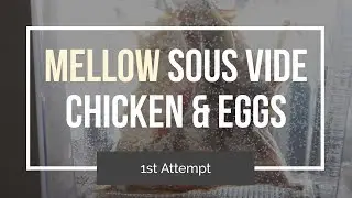 Mellow Sous Vide Smart Appliance | Chicken and Eggs