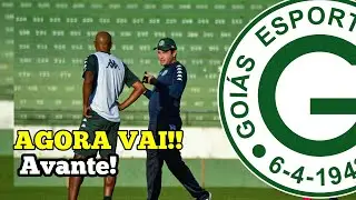 Daniel Paulista elogia pré-temporada no Goiás Esporte Clube | Ge