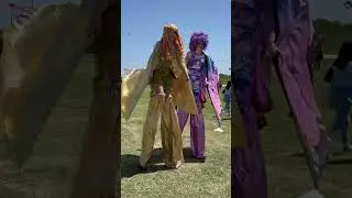 Beautiful fairies || human butterflies