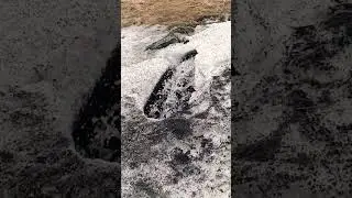 Вода против снега ❄️